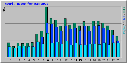 Hourly usage for May 2025