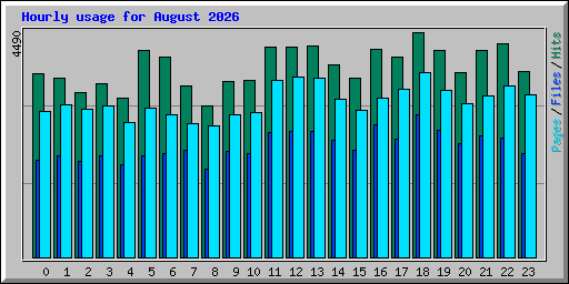 Hourly usage for August 2026