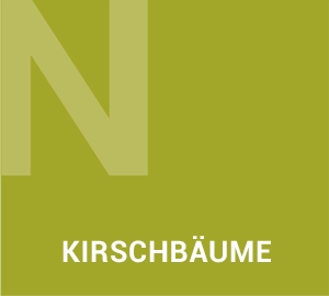 Kirschbaume